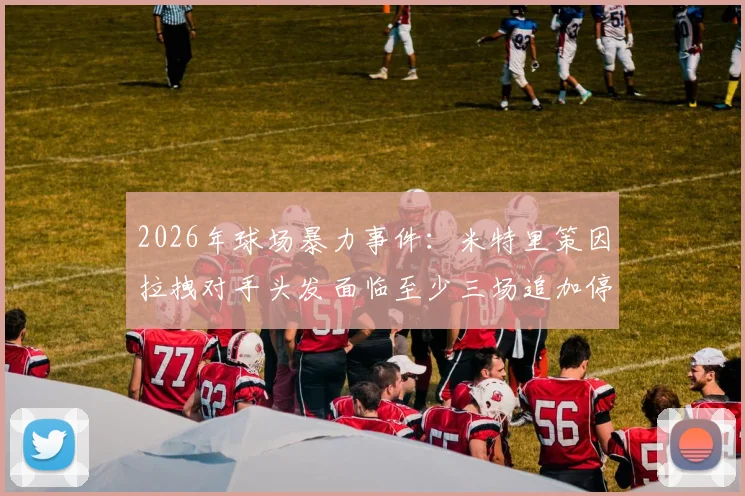 2026年球场暴力事件：米特里策因拉拽对手头发面临至少三场追加停赛，暴力行为认定标准解析